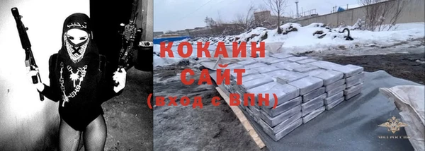 соль ск Алексин