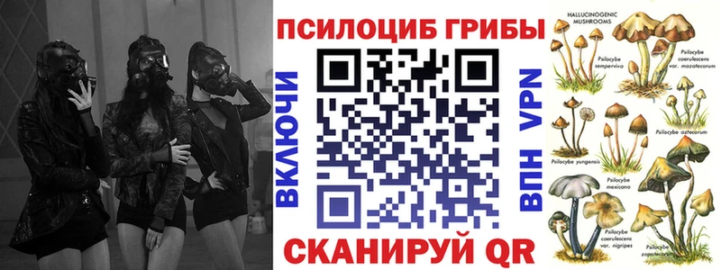 Галлюциногенные грибы GOLDEN TEACHER  где можно купить наркотик  Березники 